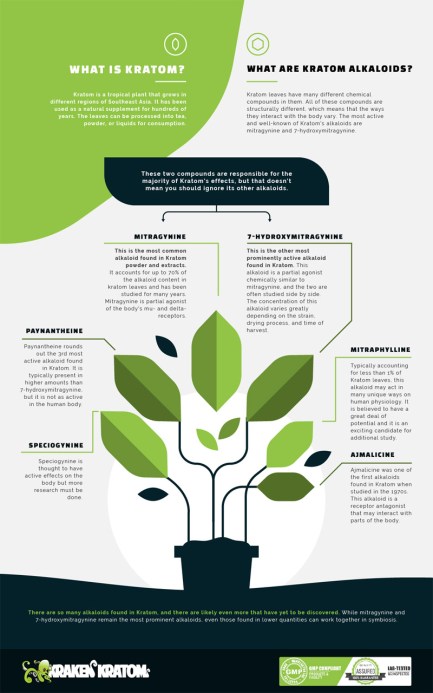 What Are Kratom Alkaloids? 