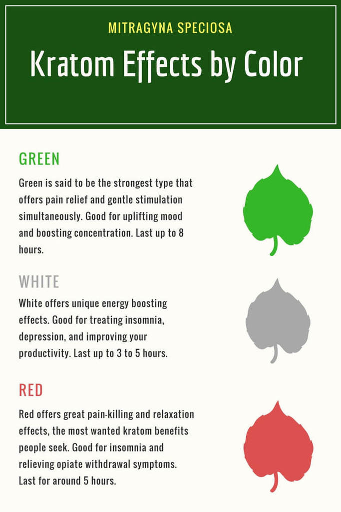CBD Products