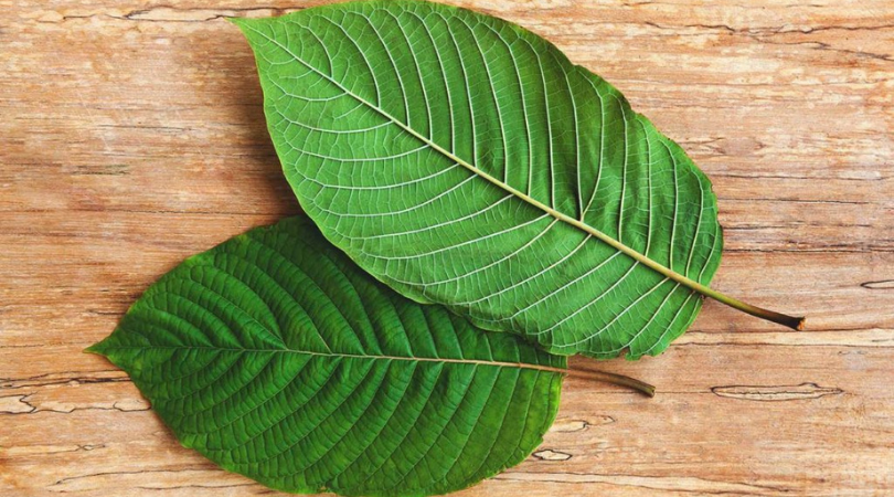 red kratom strains
