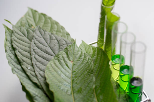 how long kratom last