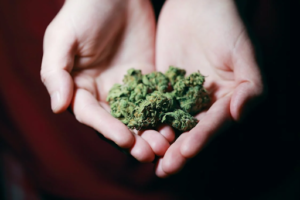 Weed subscription